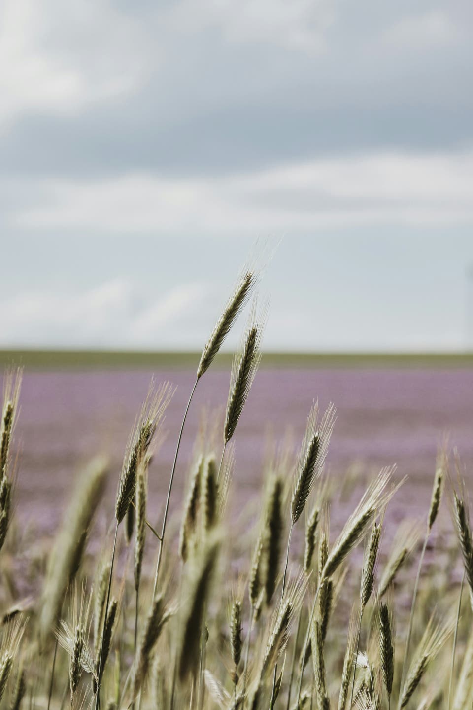 Article card header image