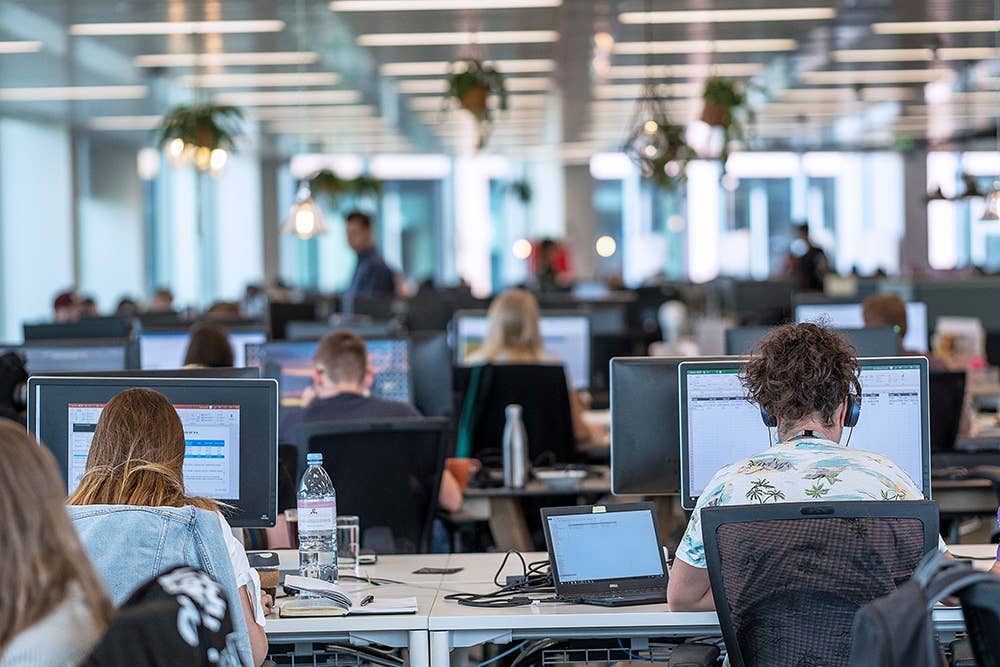 Employment Verification