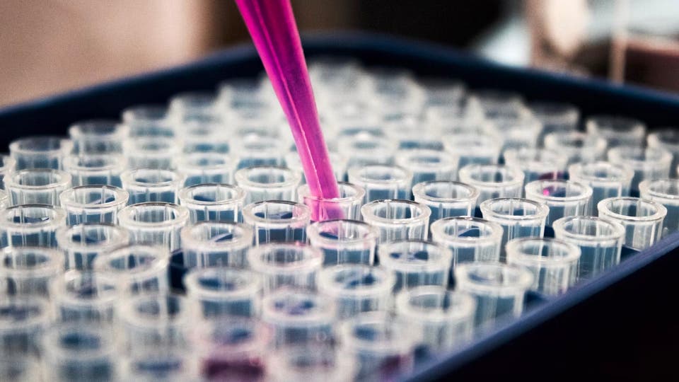 Case study carousel image