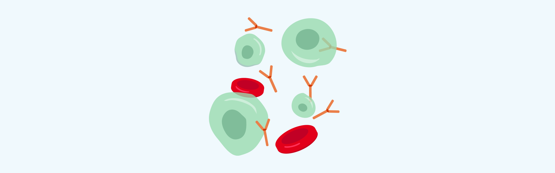 illustration myeloma