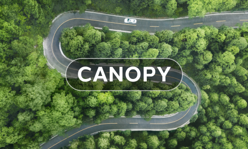 Dentsu France lance CANOPY, une structure conseil dédiée aux enjeux de marketing responsable