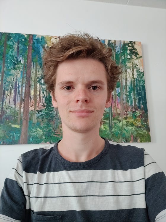 Toon Scheurink, HAMLETT