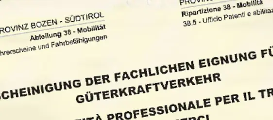 Banner idoneità professionale