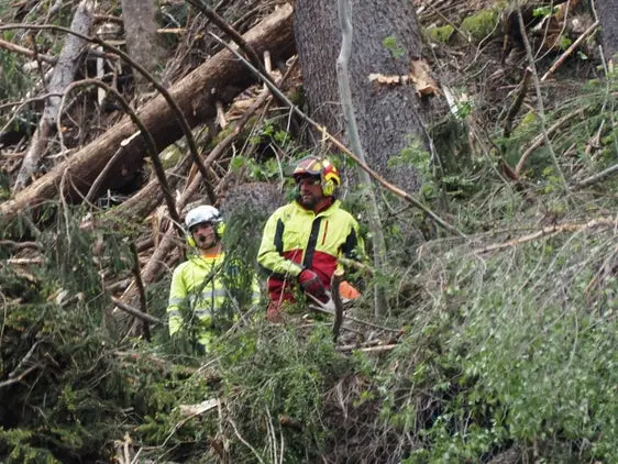 I lavori sono stati eseguiti in condizioni estremamente difficili. (Foto: USP/Ispettorato forestale Brunico/Stazione forestale San Vigilio di Marebbe)