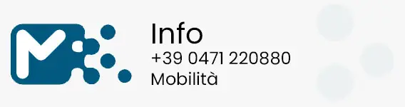 [external Link]: Info Mobilità