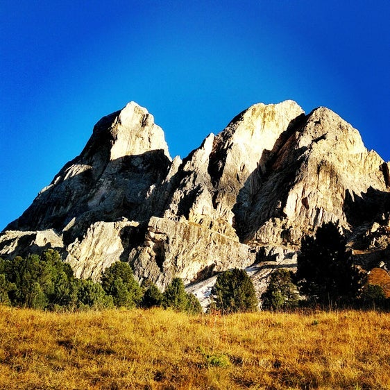 Das beliebte Ausflugsziel Würzjoch ist ab 18. Mai über die neu eingerichtete Buslinie Brixen-Würzjoch über Palmschoß noch einfacher ohne Auto erreichbar. (Foto: LPA/Angelika Schrott) 