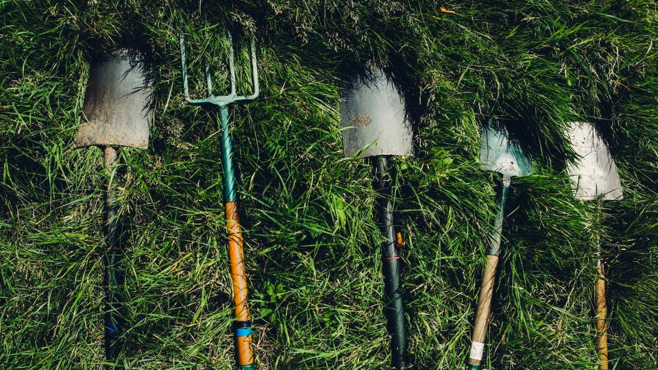 Case study card header image