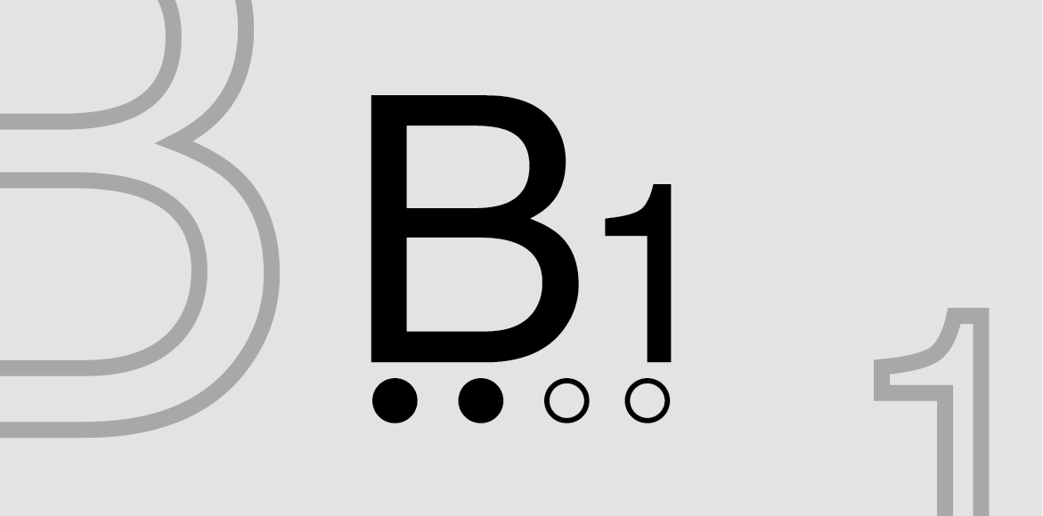 Rappresentazione grafica del livello B1 dell'esame di bilinguismo