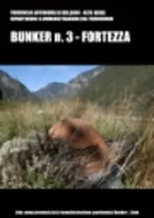 Bunker n. 3 - Fortezza