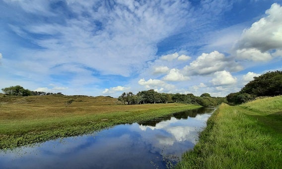 Gevarieerd landschap van Oranjezon