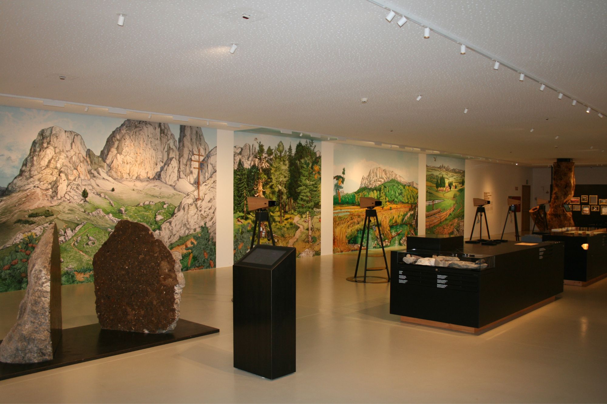 Detail dla mostra permanënta tl Parch naturel Scilier-Ciadenat (Archif Ufize Natura)