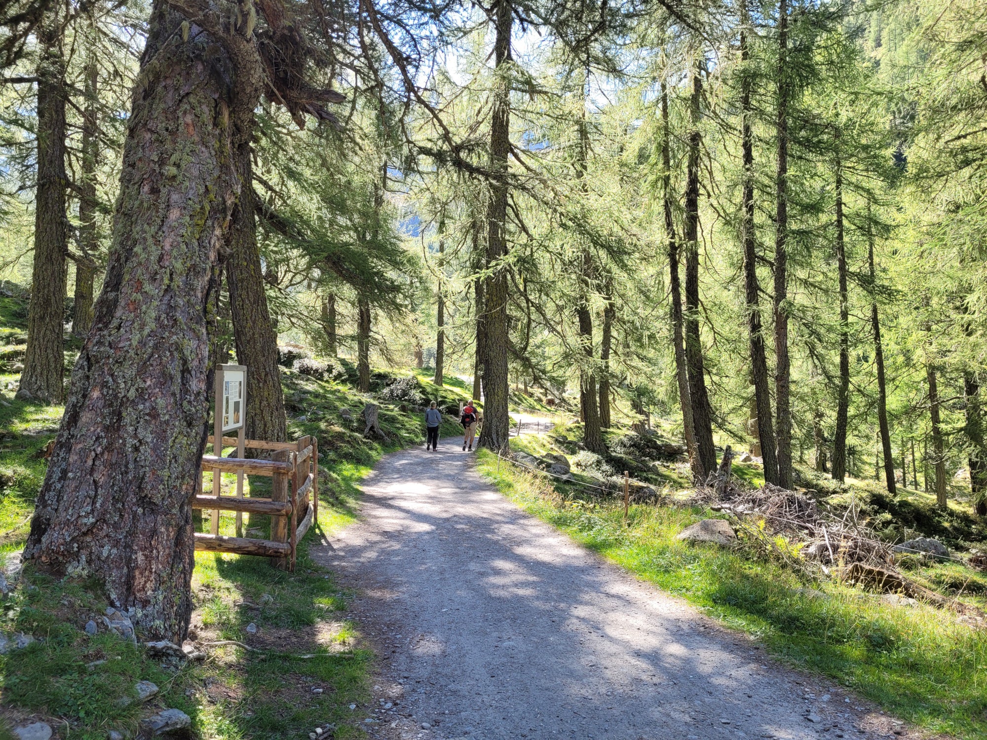 Der Almerlebnisweg Pfossental befindet sich im gleichnamigen Tal in Schnals, im Naturpark Texelgruppe (Archiv Amt für Natur).