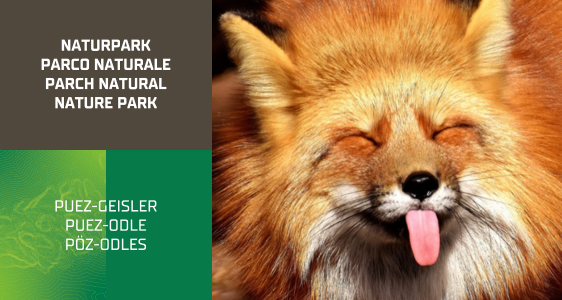 [external Link]: Wald-Safari mit den Kids