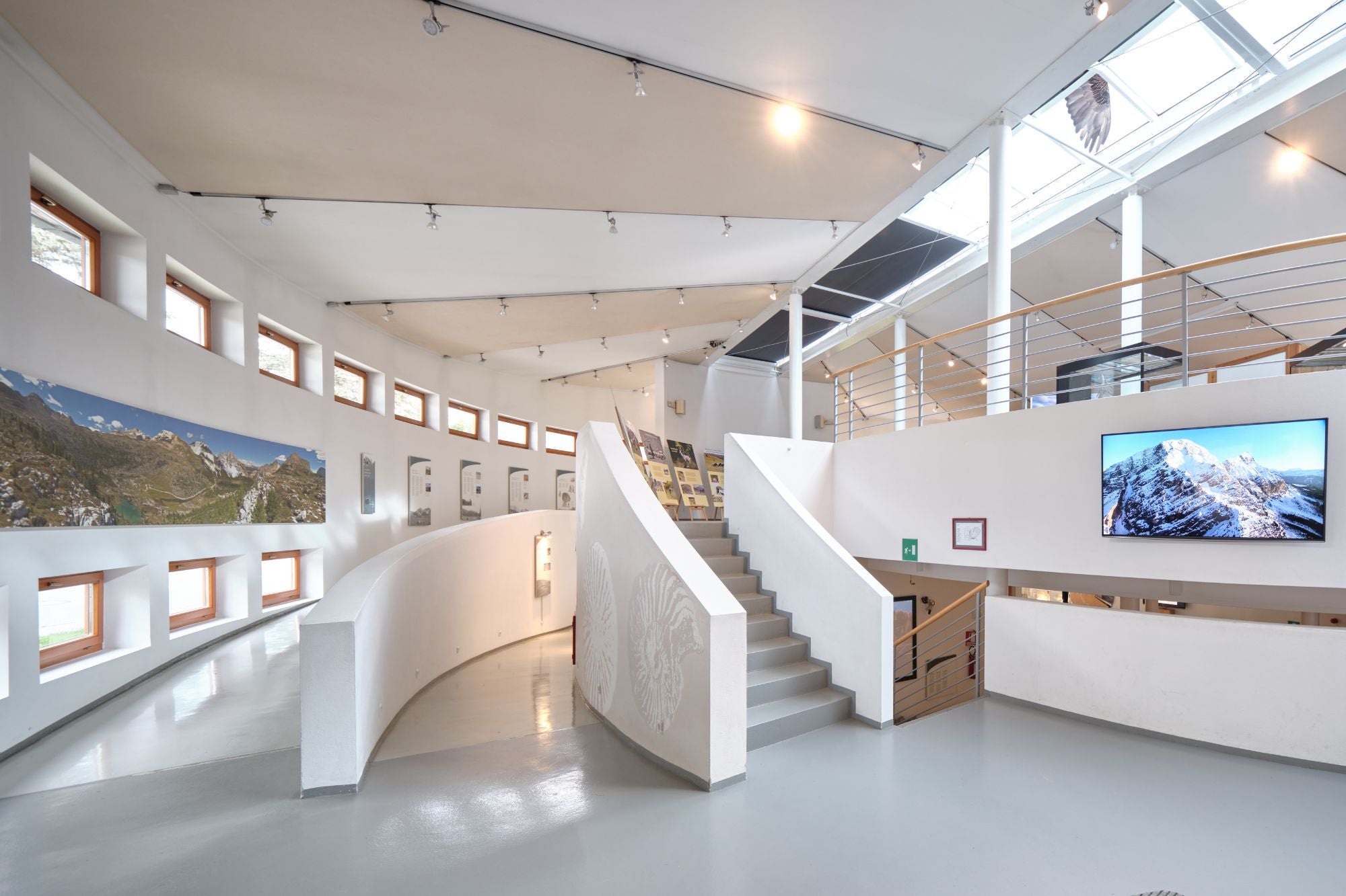 La forma dla Ciasa dl Parch natural recorda na sgnecora. Nia zënza na rajun: amonic de pera a forma de spirala n’é nia na rarité tl Parch natural (archif Ofize Natöra, fotografia Oliver Oppitz).