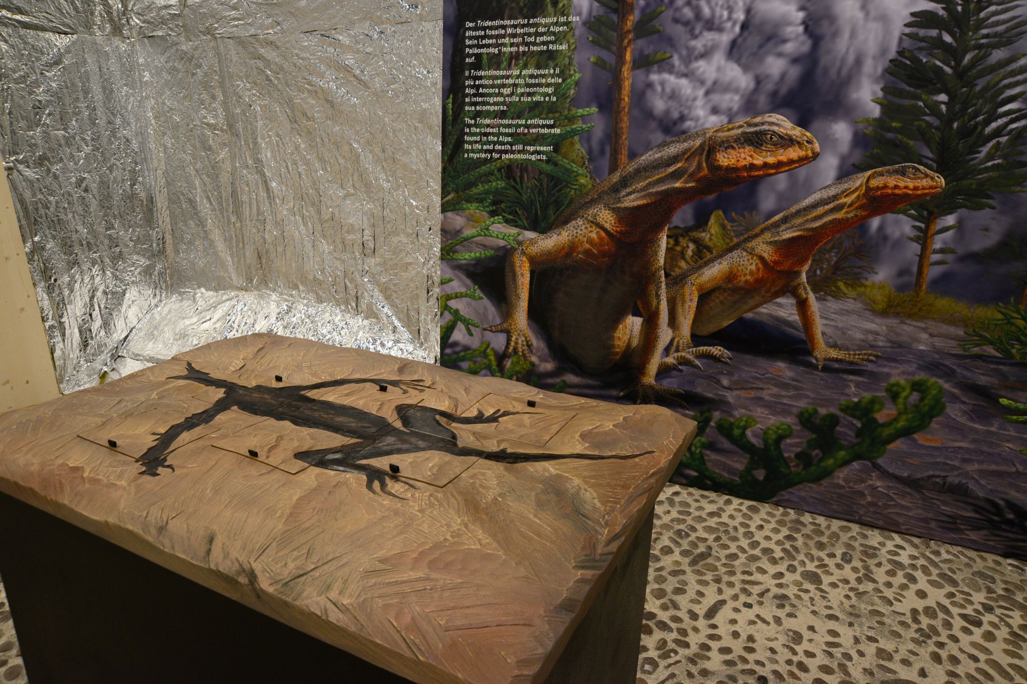 Eine Sonderausstellung des Naturmuseums Caldera - Spurensuche im Supervulkan (Foto: Naturmuseum Südtirol)