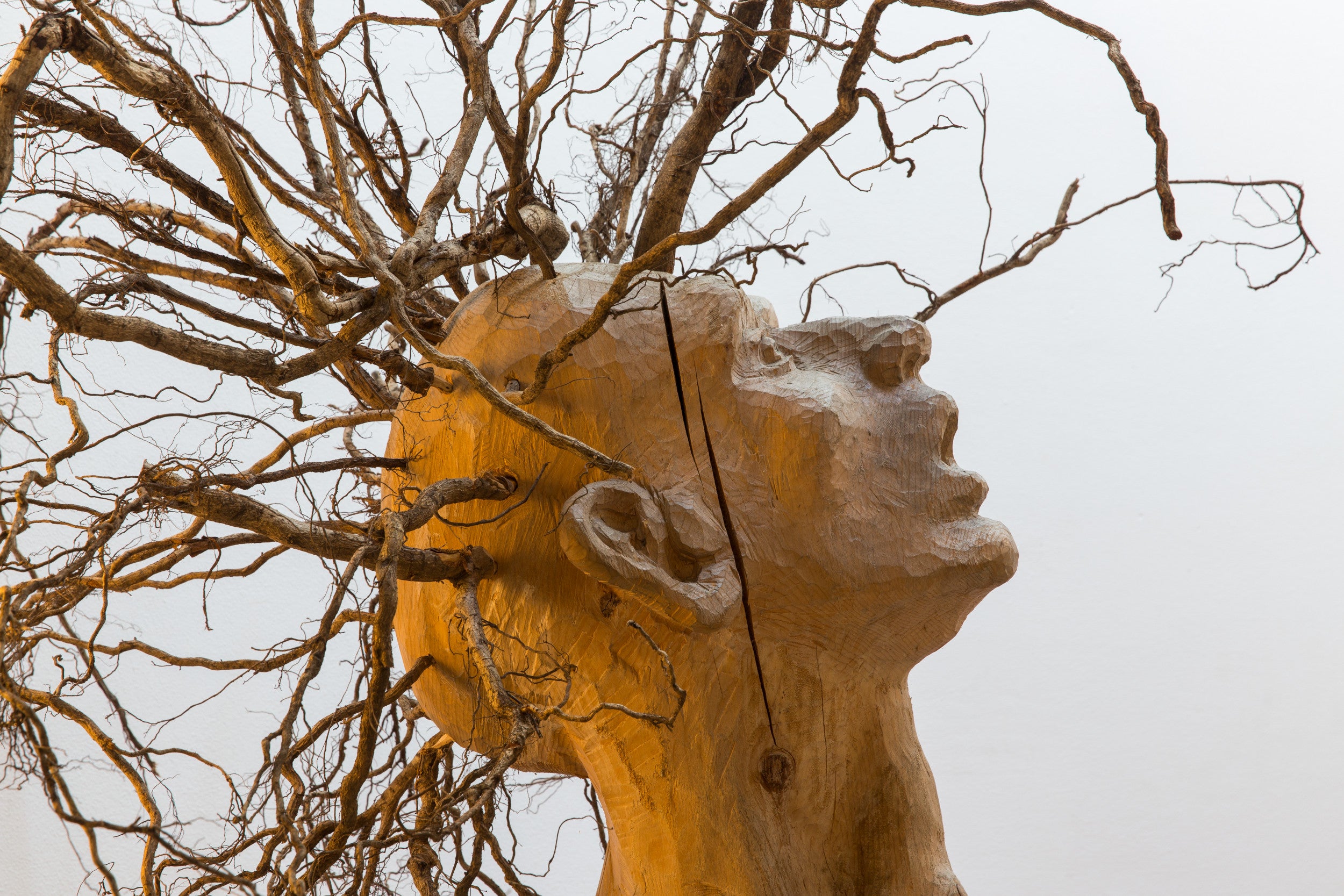 La Ciasa dl Parch natural sciöche finestra sön le parch natural