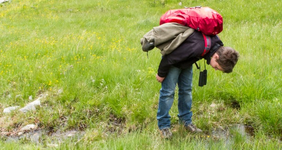 [external Link]: Citizen Science