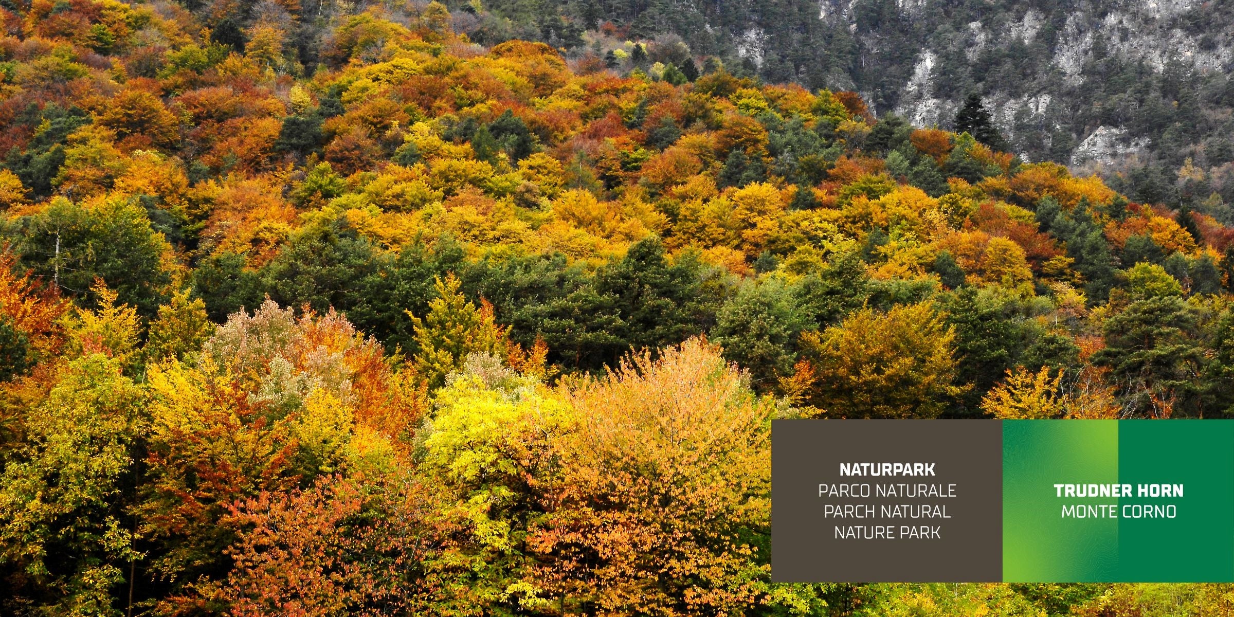 Laubmischwald (Archiv Amt für Natur, Foto Othmar Seehauser)