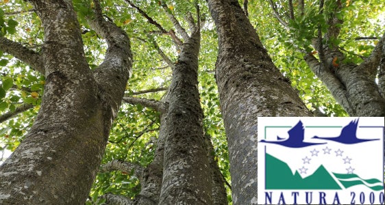 [external Link]: Natura 2000