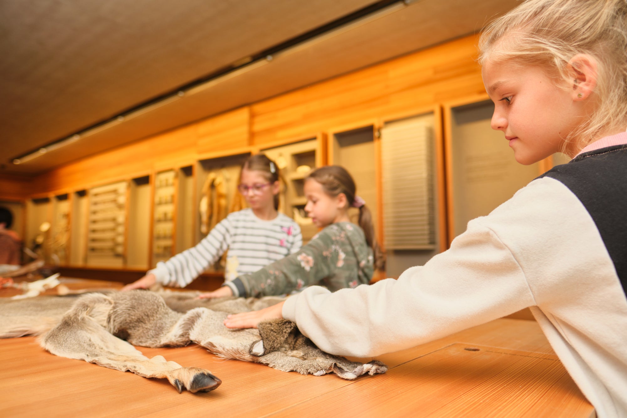 Marueies dla natura, Cësa dl Parch naturel Puez-Odles (Archif Ufize Natura, fotografia Oliver Oppitz)
