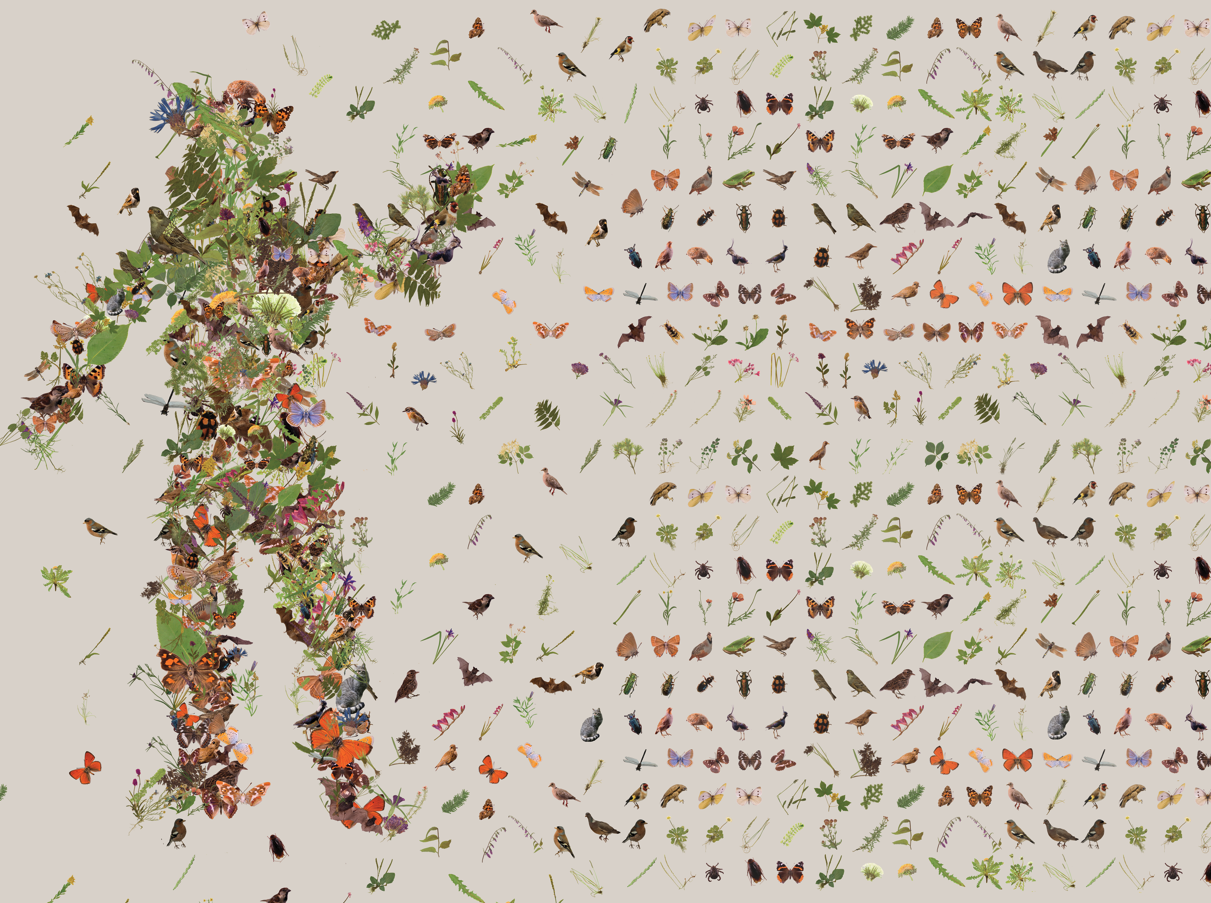 Die interaktive Ausstellung verdeutlicht, wie sich die Artenvielfalt in Südtirol im Laufe der Jahre verändert hat. (Von MischerTraxler)