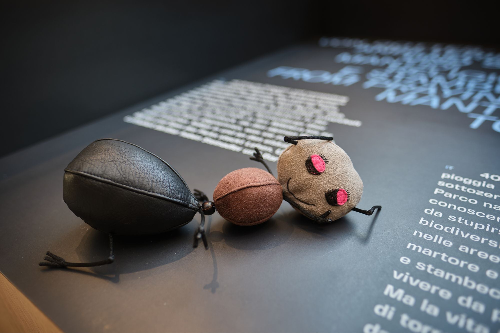 Wie sehen Kinder Tiere? Die Antwort findest du in der Dauerausstellung. Hier sind einige Bewohner des Naturparks in 3D nachgebildet – genau so, wie Kinder sie sich vorstellen. (Archiv Amt für Natur, Foto Oliver Oppitz)