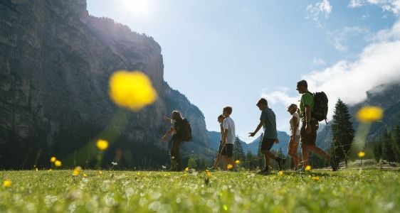 [external Link]: Jites virtuales