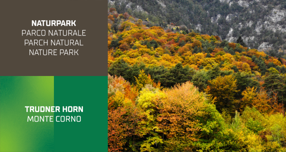 5/7 Naturpark Trudner Horn