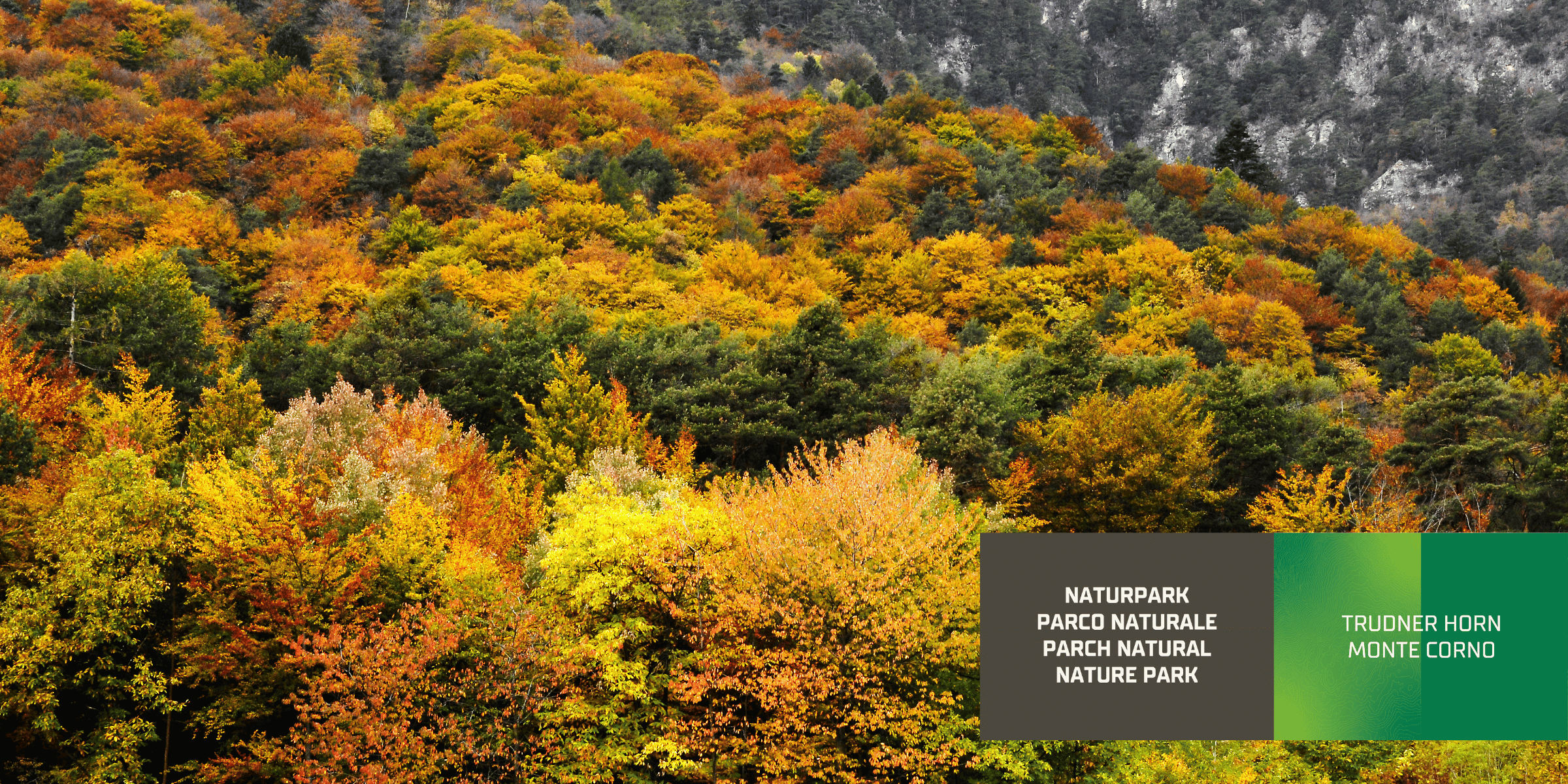 Bosco  misto di latifoglie (Archivio Ufficio Natura, Foto Othmar Seehauser)