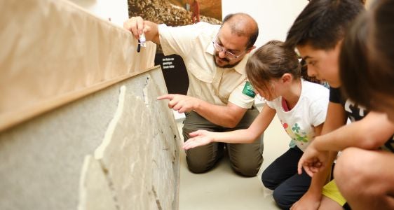 Spezielle Angebote unserer Naturparkhäuser für Schulen