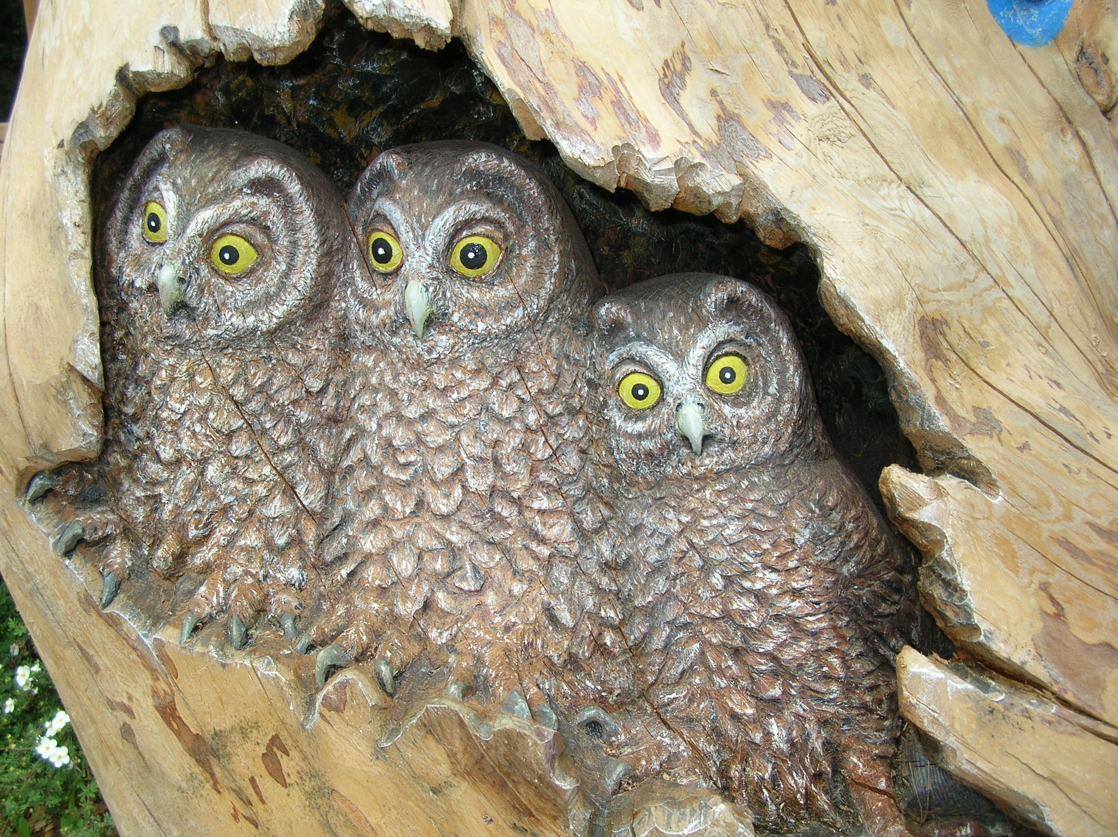 geschnitzte Raufusskäuze, Infostelle Völser Weiher (Archiv Amt für Natur, Foto Christian Ortner)