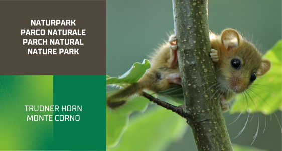 [external Link]: Raus in die Natur!