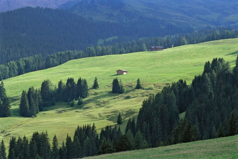 [external Link]: Jites virtuales