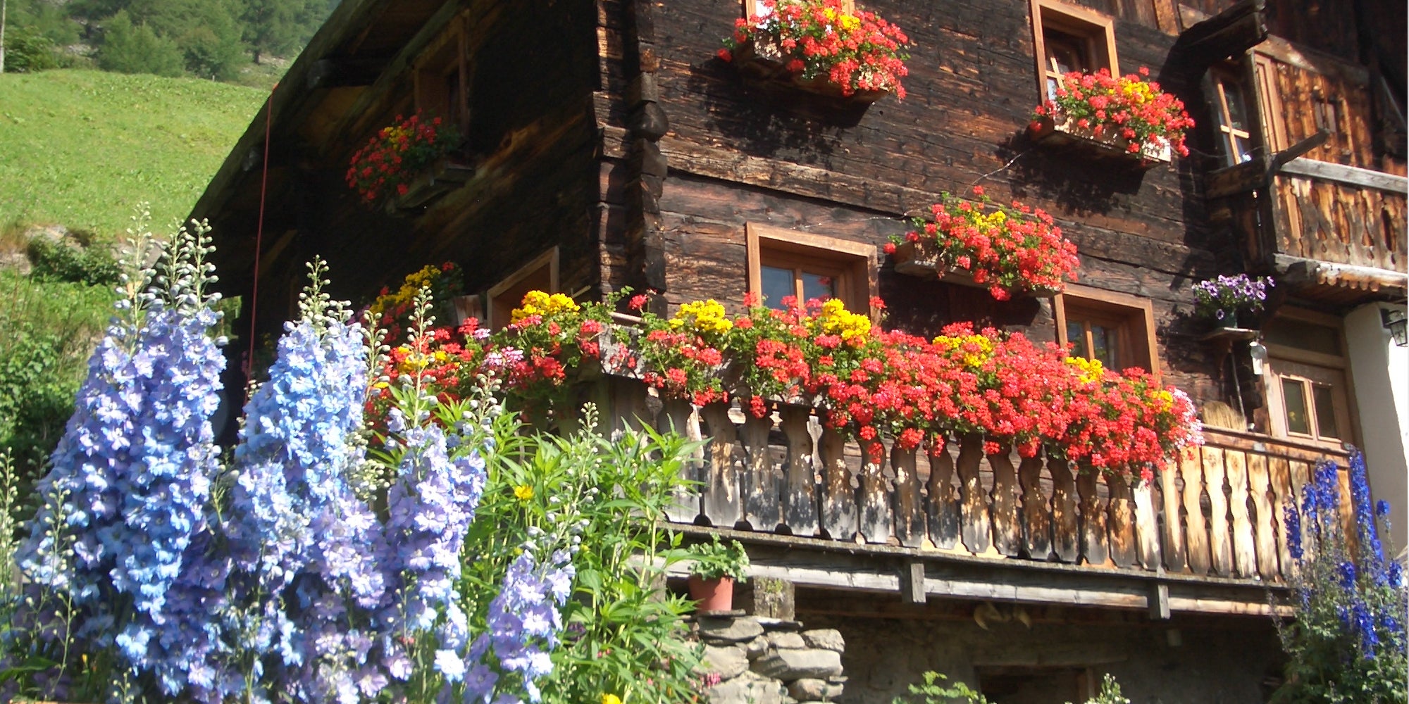 Vorderkaser, Val di Fosse, Parco naturale Gruppo di Tessa (Archivio Ufficio Natura, Foto Valentin Schroffenegger)