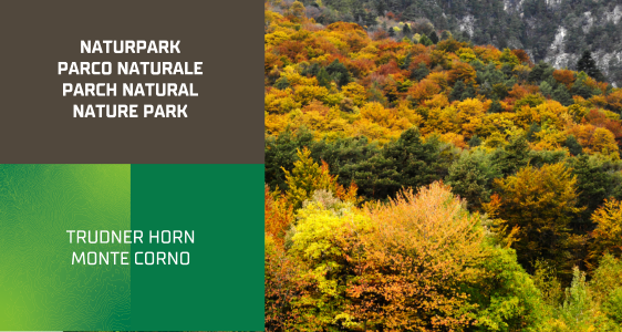 5/7 Naturpark Trudner Horn