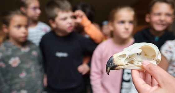 Angebote für Schulen