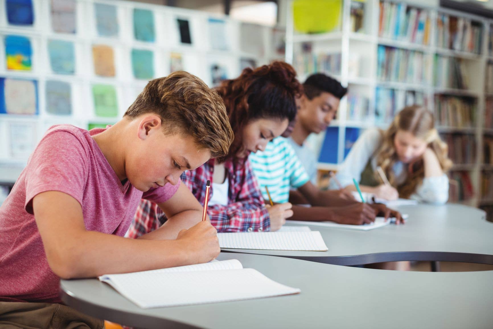 The Australian Curriculum Assessment and Reporting Authority (ACARA)