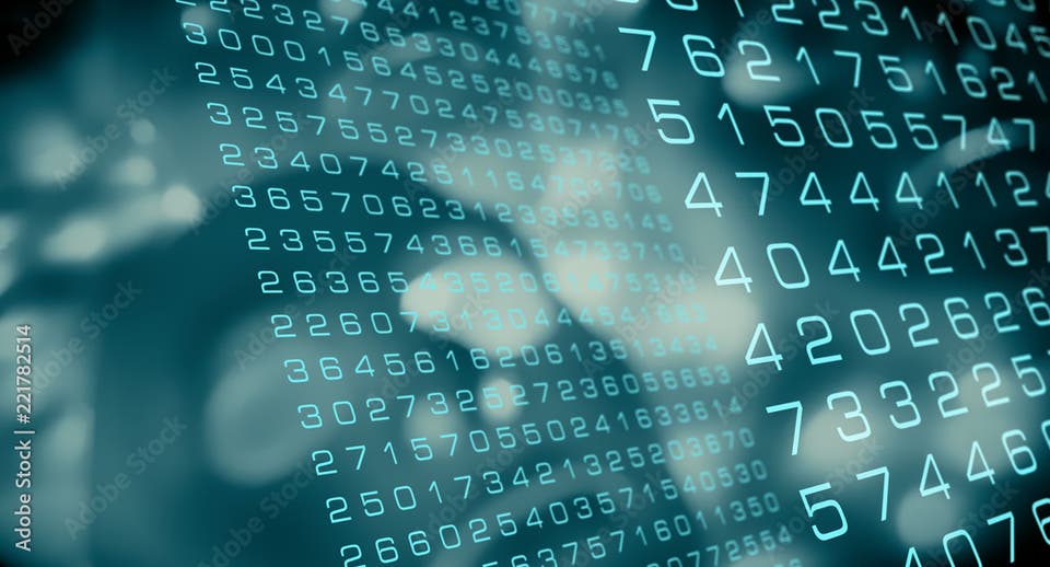 Unlocking a performance mindset in the Algorithmic Era