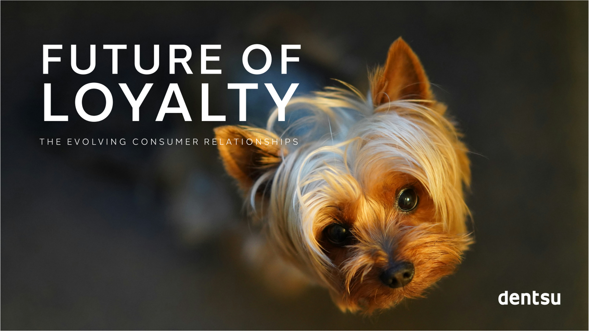 The Future of Loyalty
