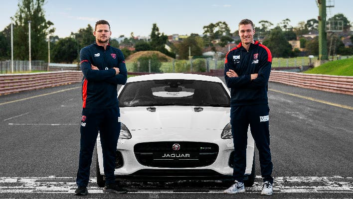 Jaguar Kicking Goals