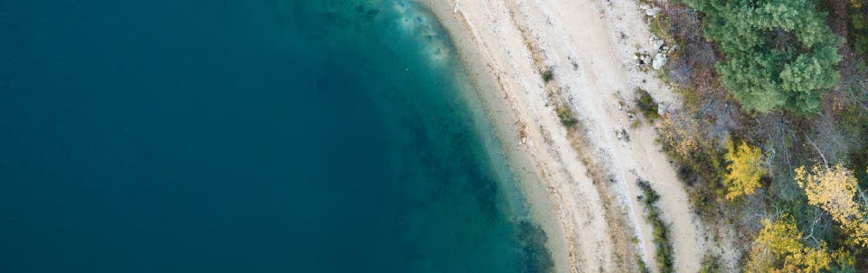 2021 Social Impact Report