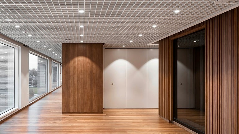 picture alternative text