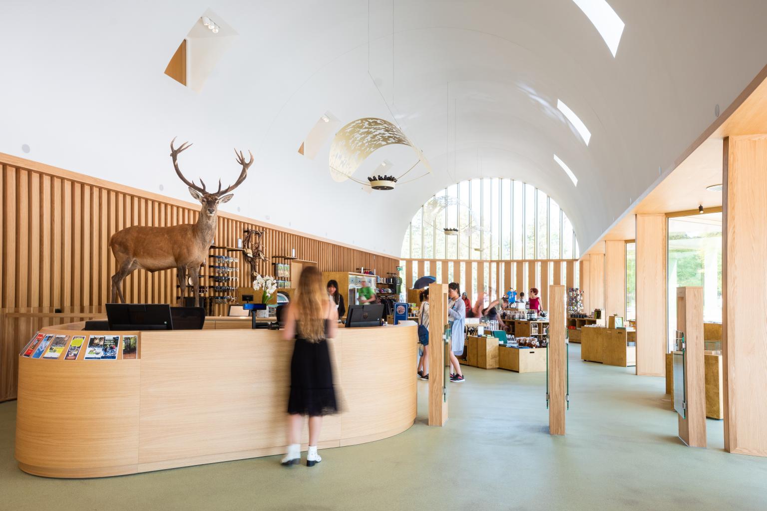 picture alternative text