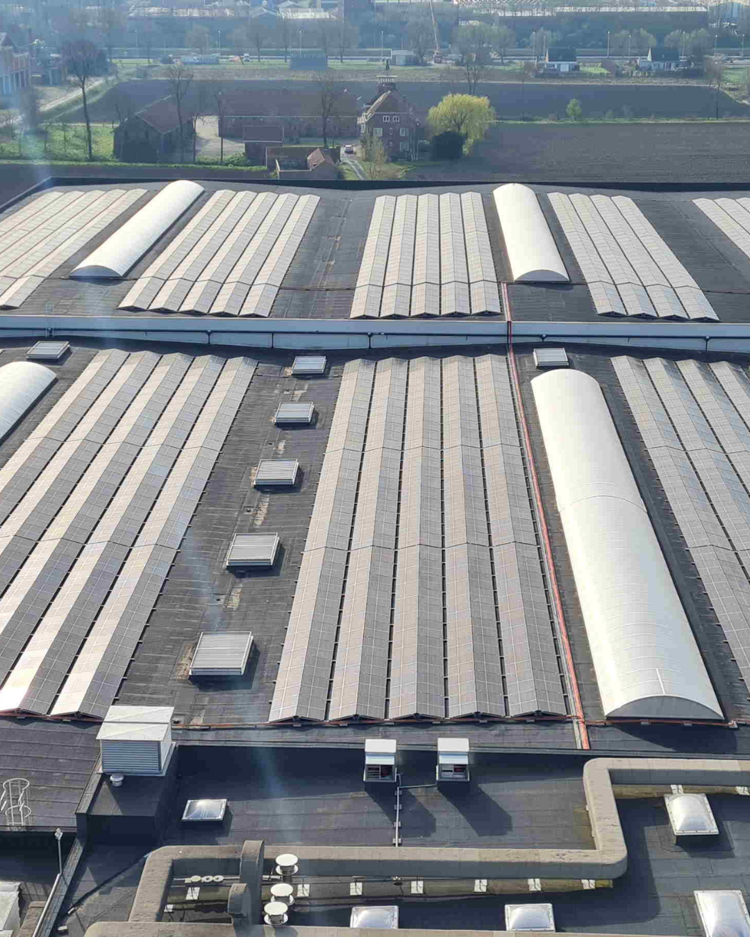 picture alternative text