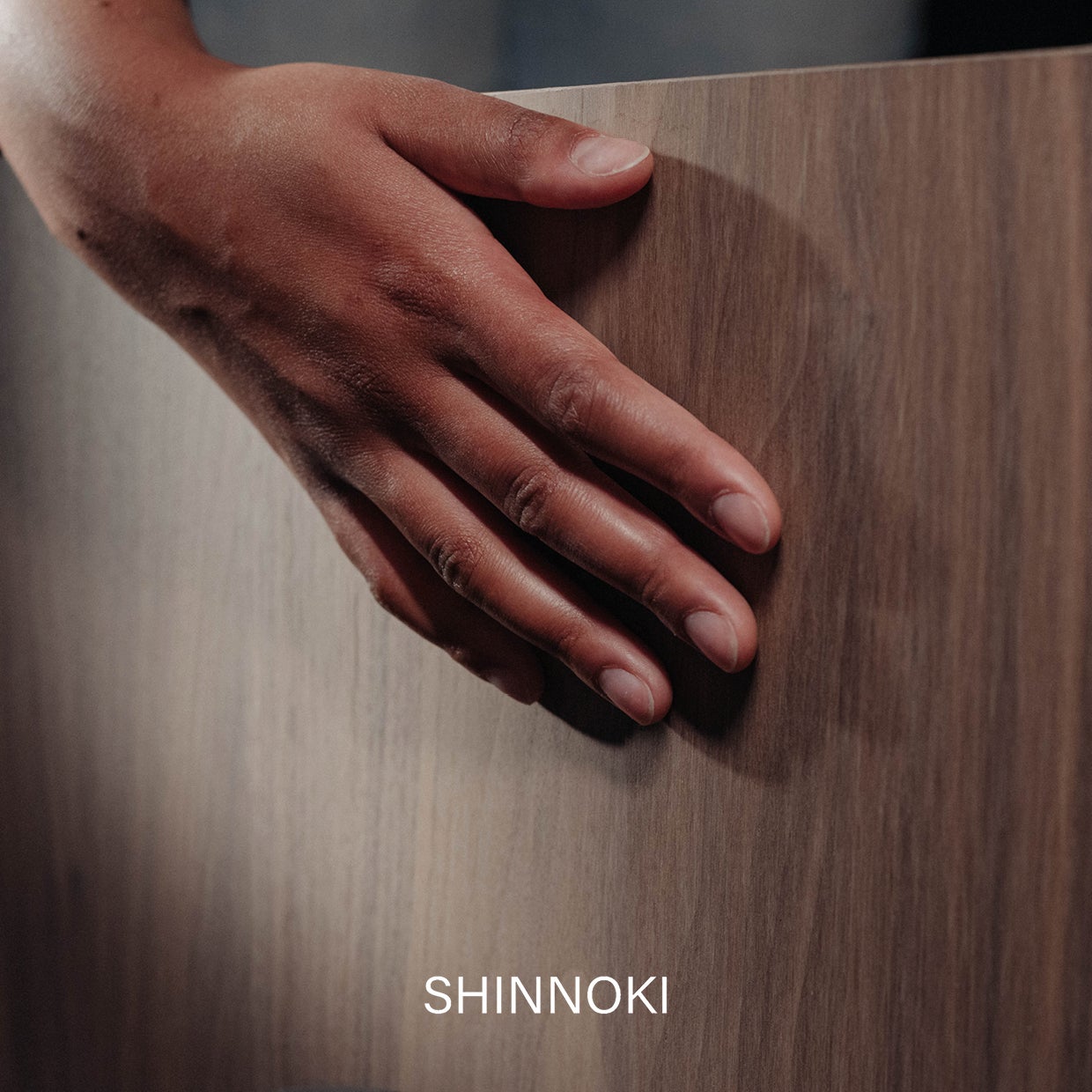 picture alternative text