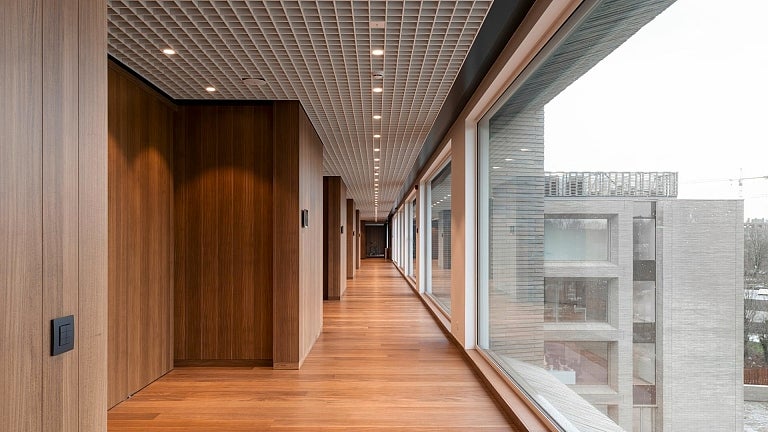 picture alternative text