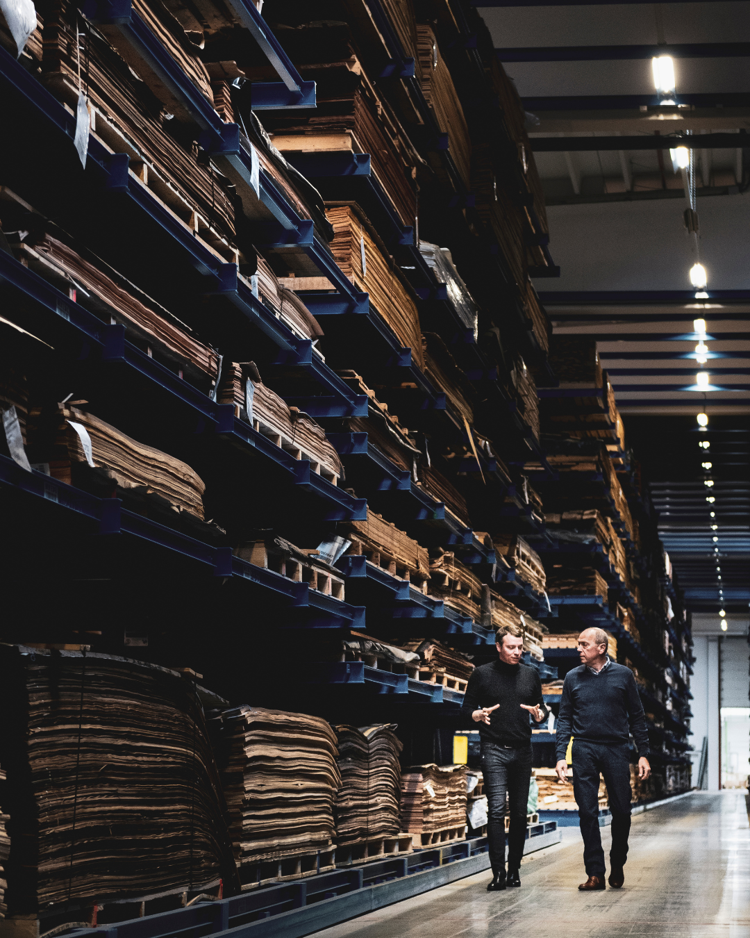 picture alternative text