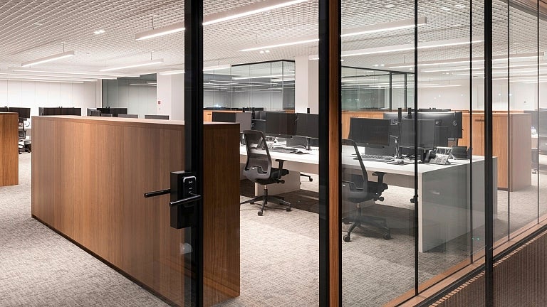 picture alternative text