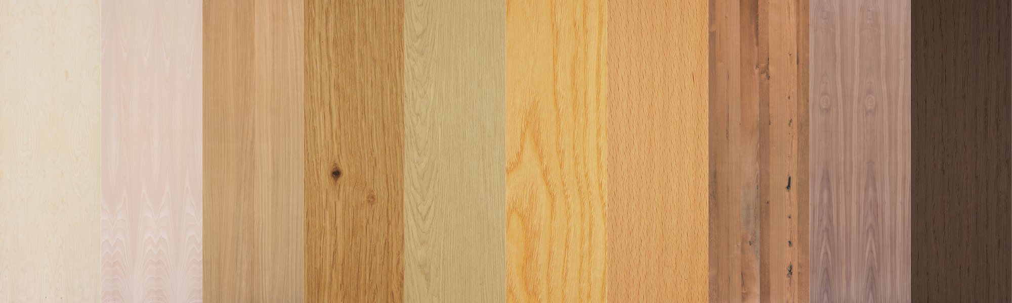 different woods - wood species 