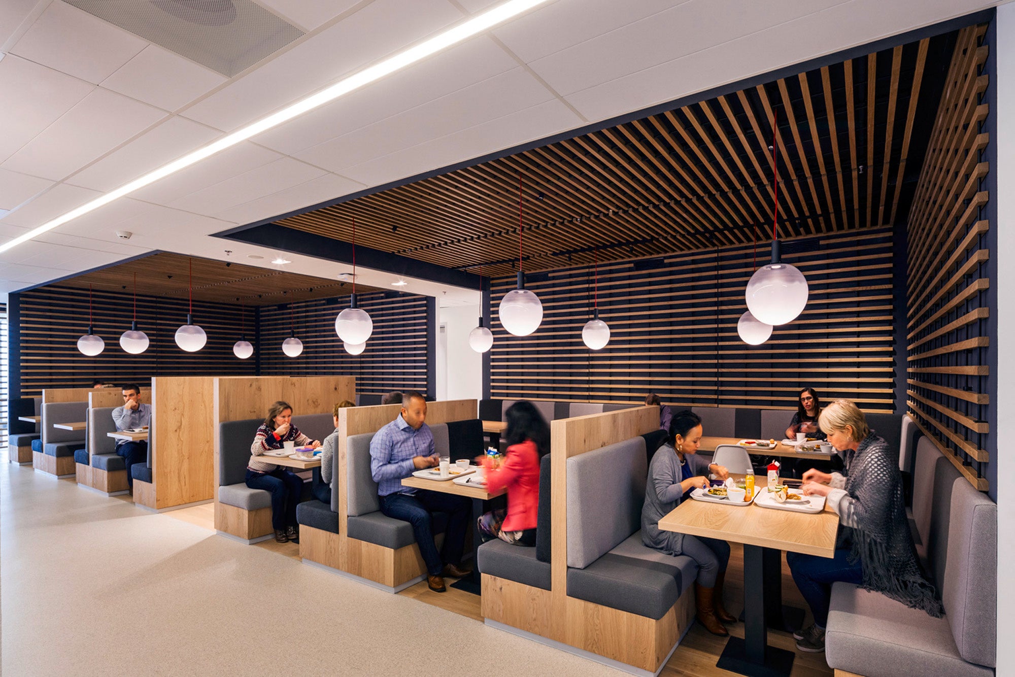 picture alternative text